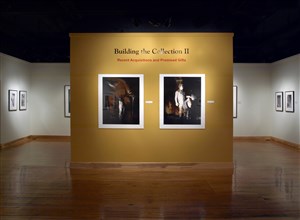 Recent Acquisitions and Promised Gifts II